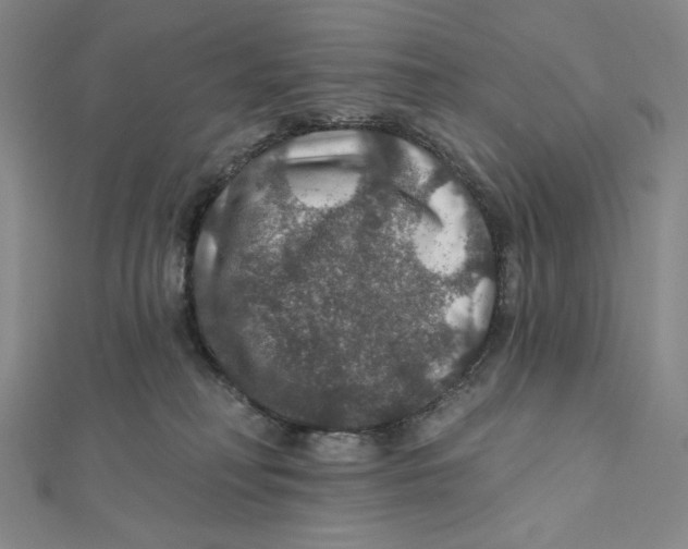 X0000112020230200908311201