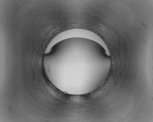 X0000112020231200908311201