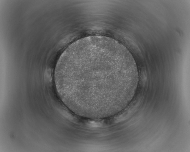 X0000112020232200908311201