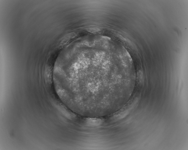 X0000112020234200908311201