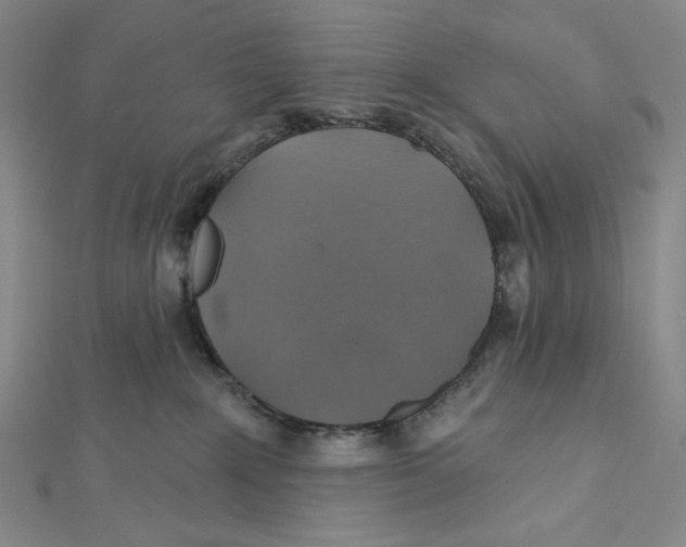 X0000112020235200908311201