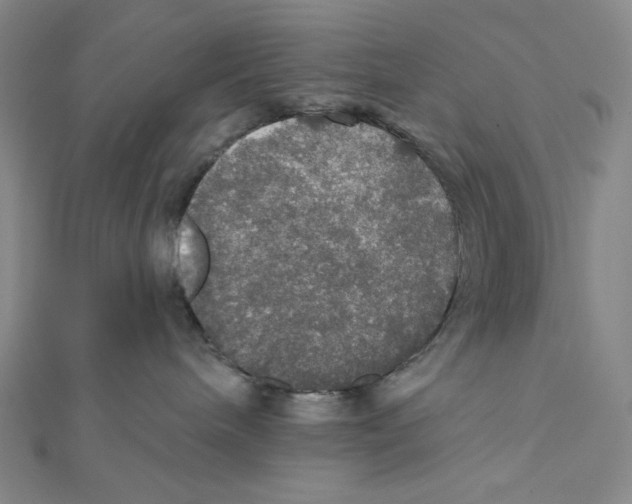 X0000112020240200908311201