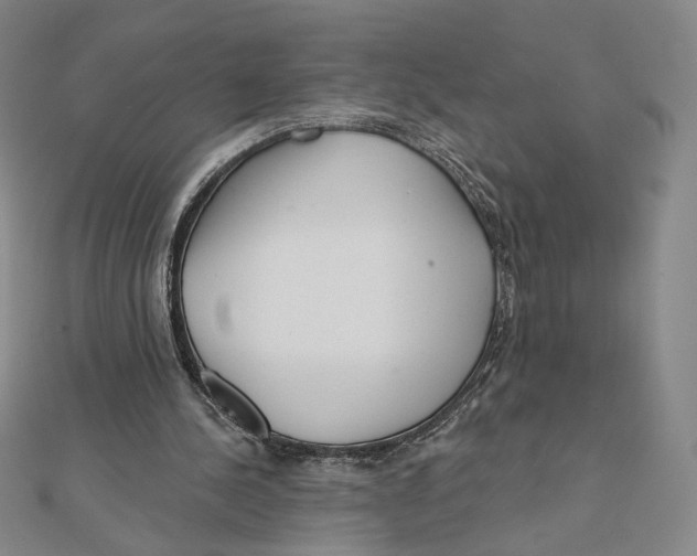 X0000112020244200908311200