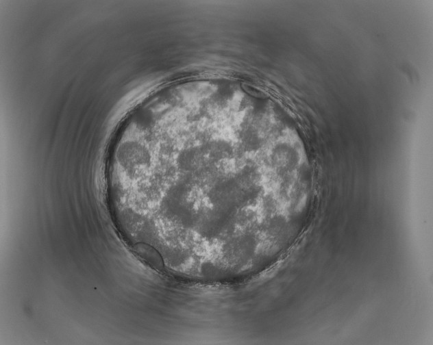 X0000112020245200908311200