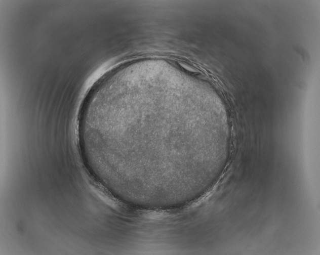 X0000112020246200908311200