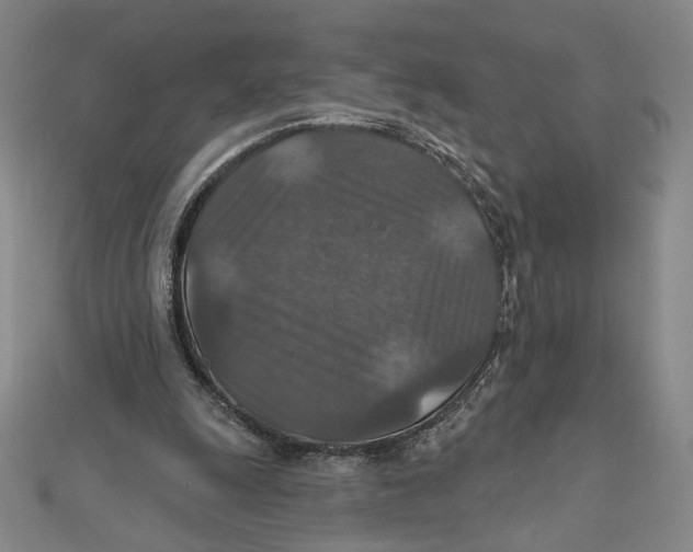 X0000112020247200908311200