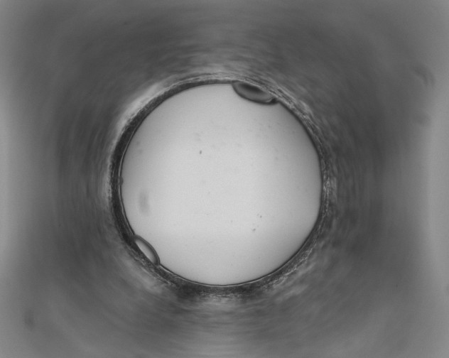 X0000112020248200908311200