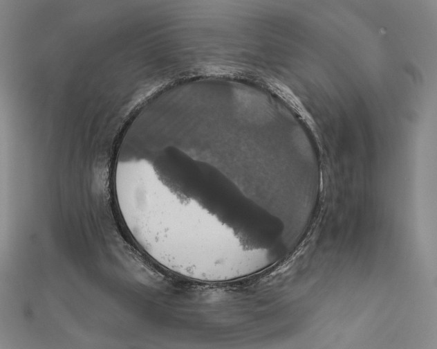 X0000112020249200908311200