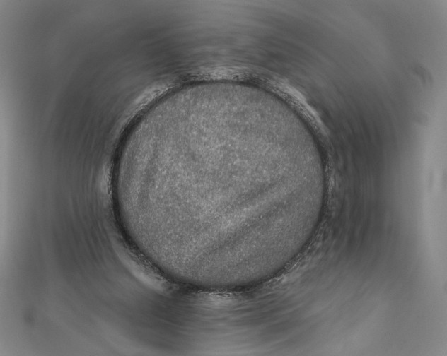 X0000112020250200908311200