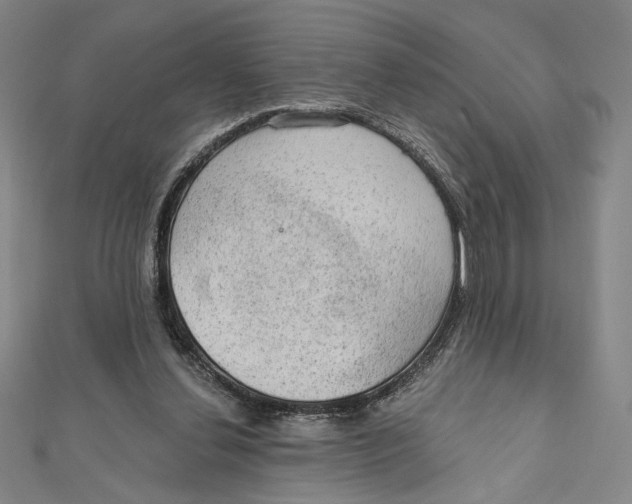 X0000112020252200908311200