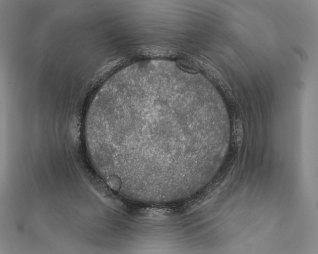 X0000112020255200908311200