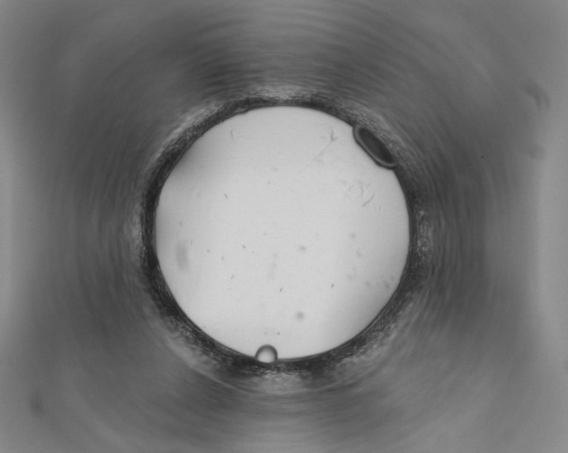 X0000112020256200908311200