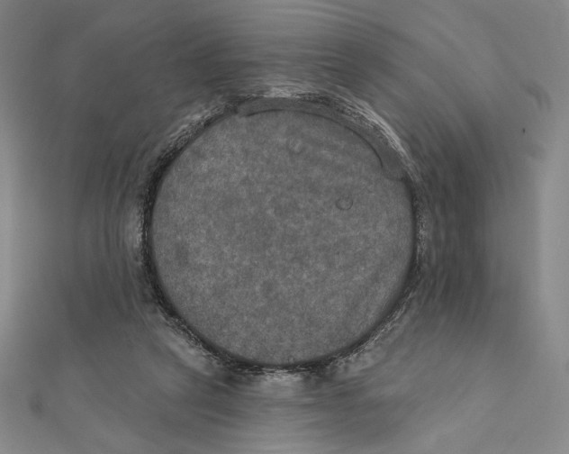 X0000112020257200908311200