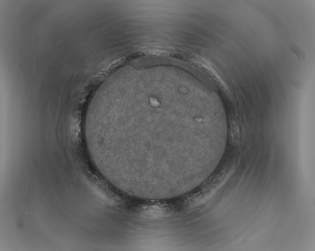 X0000112020259200908311200