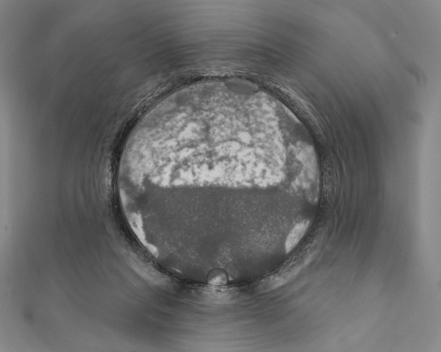 X0000112020261200908311200