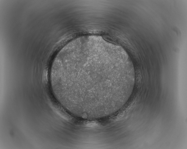 X0000112020262200908311200