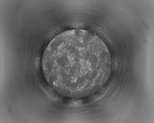 X0000112020263200908311200