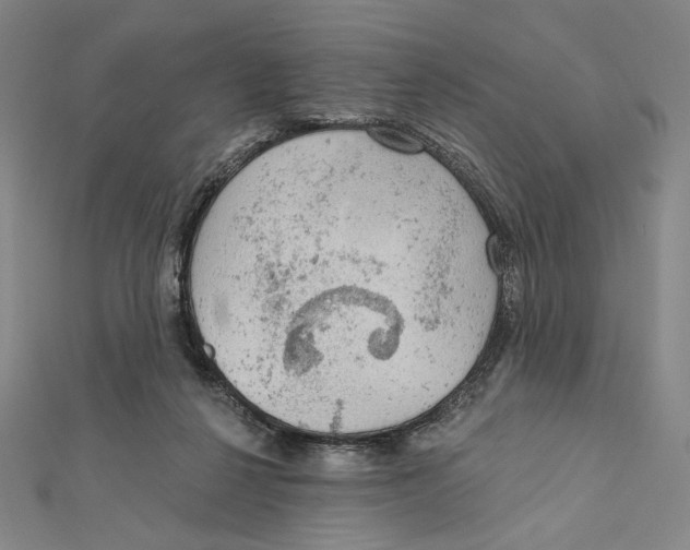 X0000112020264200908311200