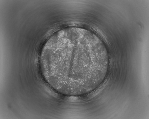 X0000112020265200908311200