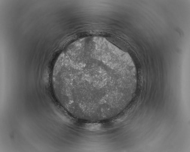 X0000112020266200908311200