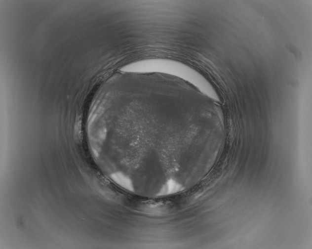 X0000112020267200908311201