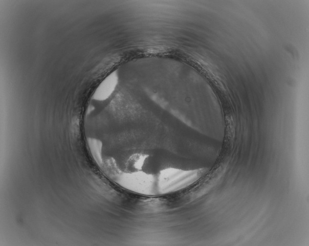 X0000112020269200908311201