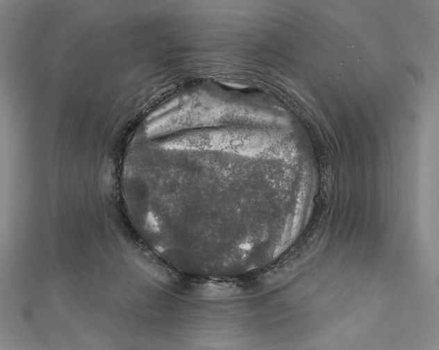 X0000112020270200908311201