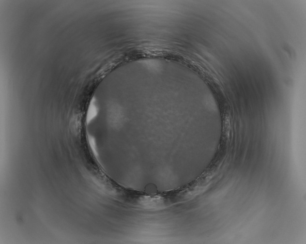 X0000112020271200908311201