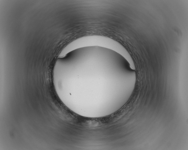 X0000112020272200908311201