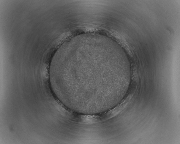 X0000112020273200908311201