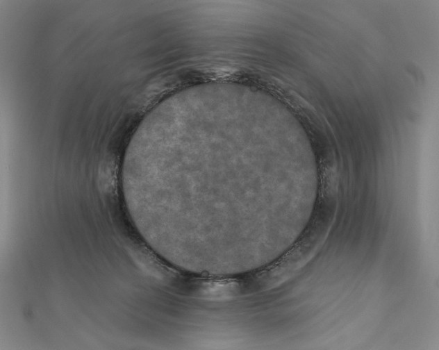 X0000112020274200908311201