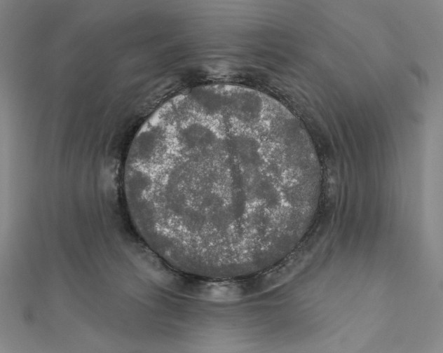 X0000112020275200908311201