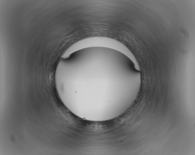 X0000112020276200908311201