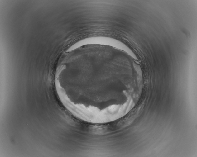 X0000112020277200908311201