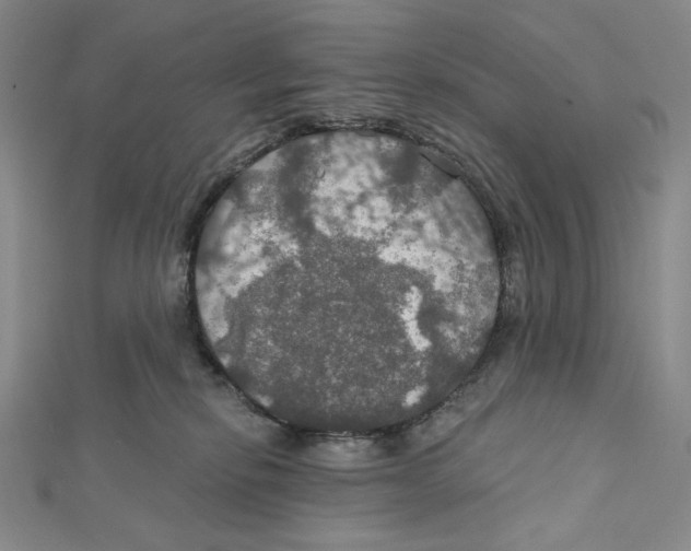 X0000112020278200908311201