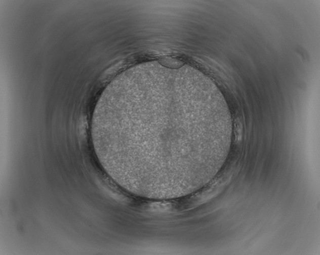 X0000112020279200908311201