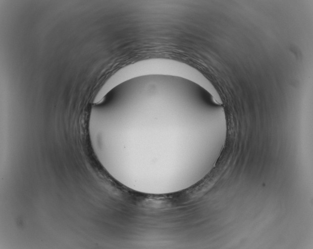 X0000112020280200908311201