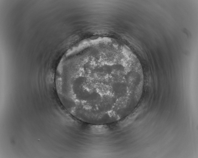 X0000112020281200908311201