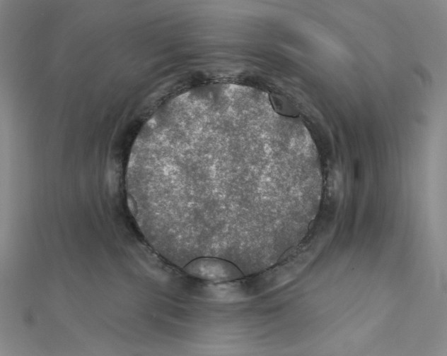 X0000112020283200908311201