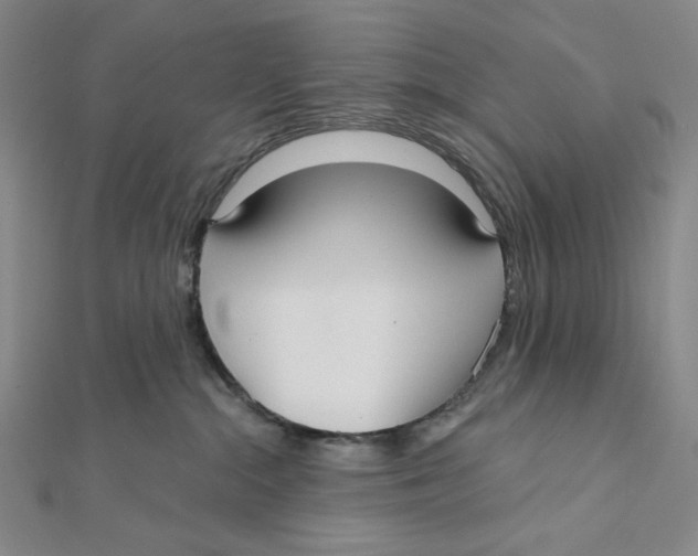 X0000112020284200908311201