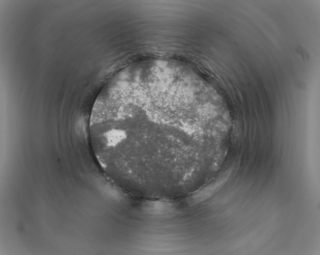 X0000112020286200908311201