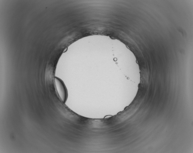 X0000112020287200908311201