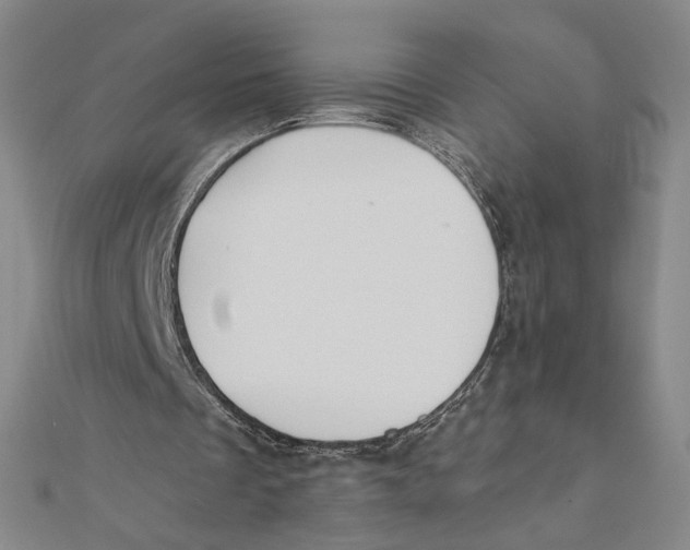 X0000112020289200908311200