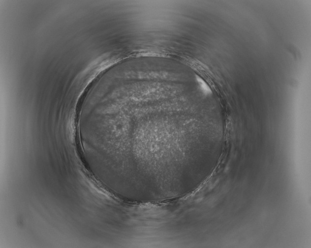 X0000112020290200908311200