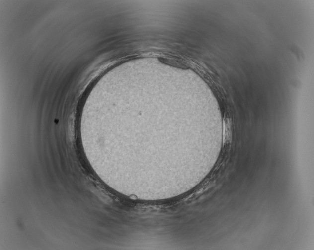 X0000112020291200908311200