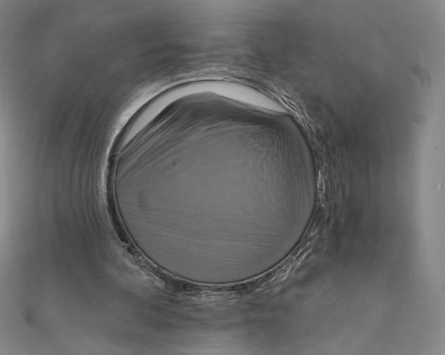 X0000112020292200908311200