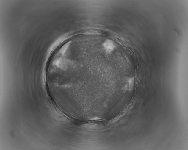 X0000112020294200908311200