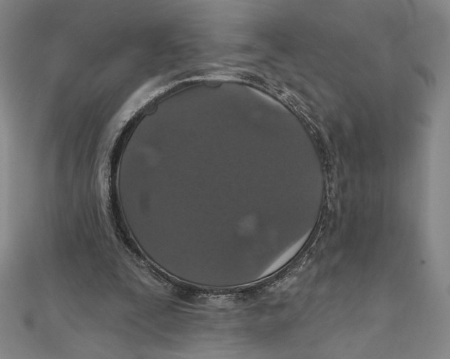 X0000112020295200908311200