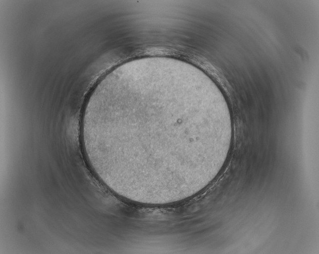 X0000112020297200908311200