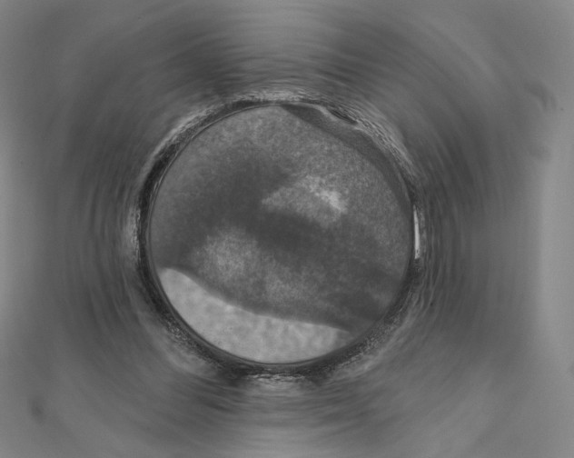 X0000112020300200908311200